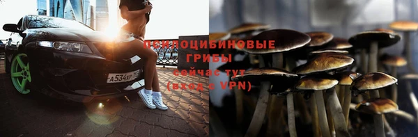 ГАЛЛЮЦИНОГЕННЫЕ ГРИБЫ Магадан