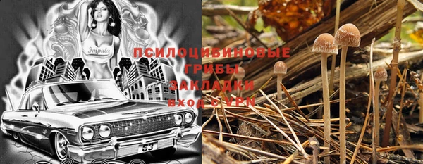 ГАЛЛЮЦИНОГЕННЫЕ ГРИБЫ Магадан