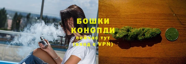 ГАЛЛЮЦИНОГЕННЫЕ ГРИБЫ Магадан