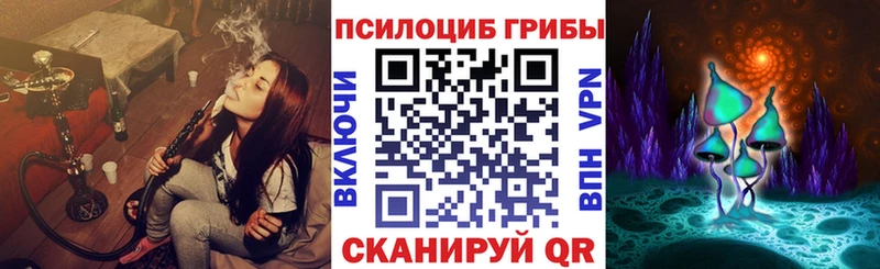 Галлюциногенные грибы мухоморы  mega зеркало  Николаевск 