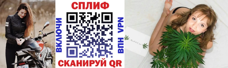 MEGA ONION  Николаевск  Конопля планчик 